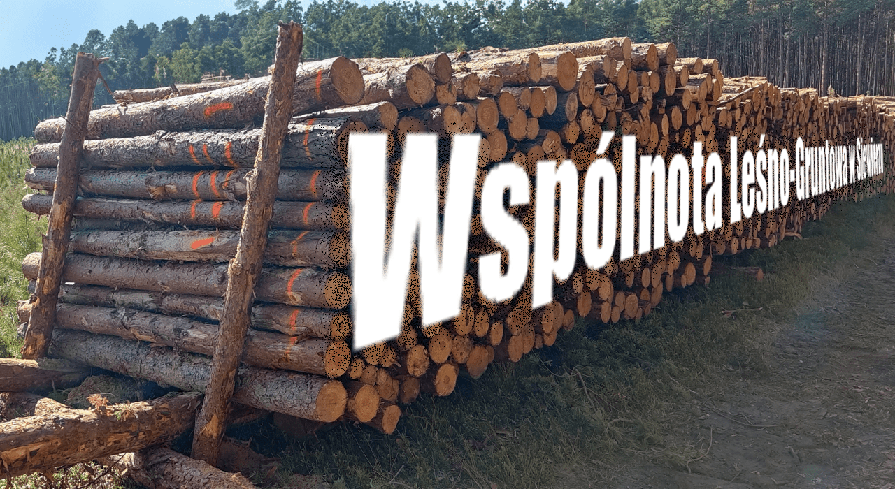 Tanie drewno sredniowymiarowe