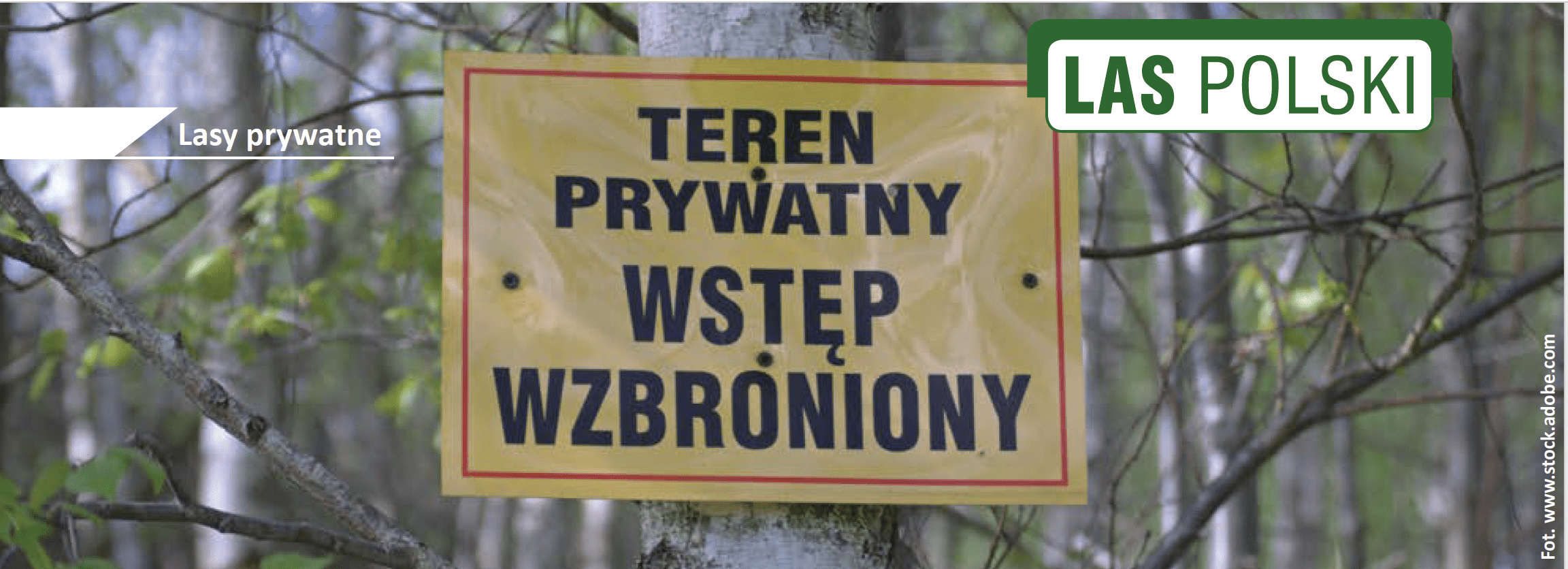 Las Polski nagłówek